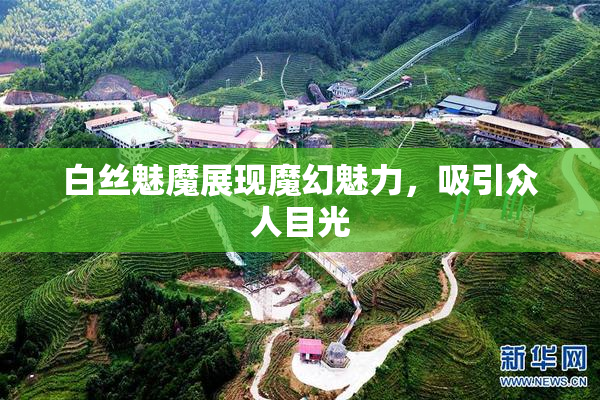 白丝魅魔展现魔幻魅力，吸引众人目光
