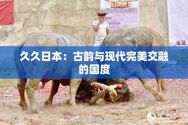 久久日本：古韵与现代完美交融的国度