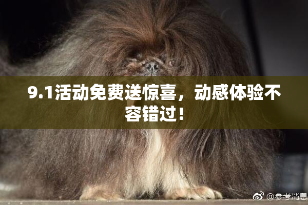 9.1活动免费送惊喜，动感体验不容错过！