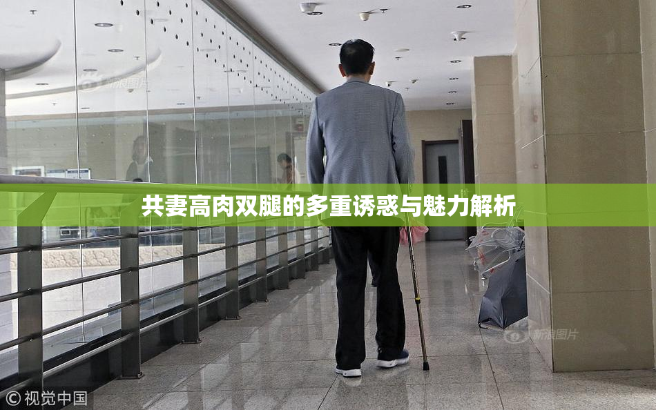 共妻高肉双腿的多重诱惑与魅力解析