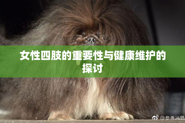 女性四肢的重要性与健康维护的探讨