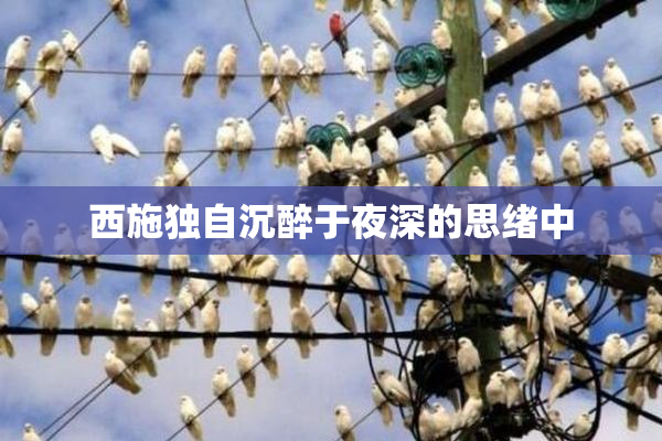 西施独自沉醉于夜深的思绪中