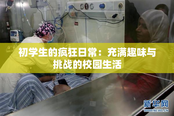 初学生的疯狂日常：充满趣味与挑战的校园生活