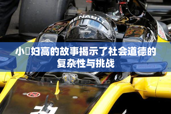 小婬妇高的故事揭示了社会道德的复杂性与挑战
