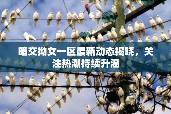 暗交拗女一区最新动态揭晓，关注热潮持续升温