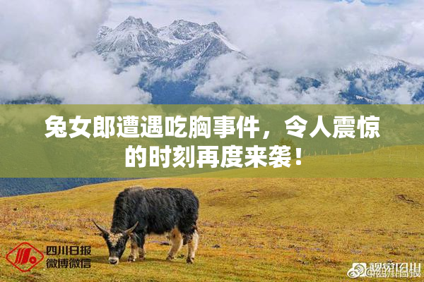 兔女郎遭遇吃胸事件，令人震惊的时刻再度来袭！