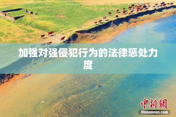 加强对强侵犯行为的法律惩处力度