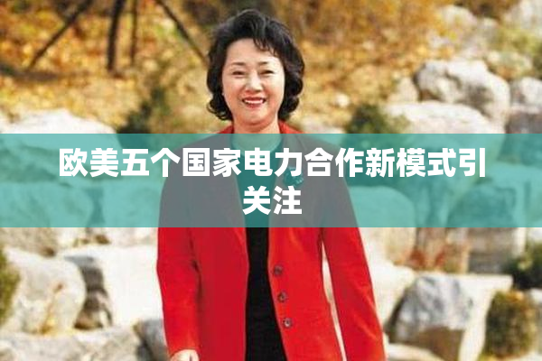 欧美五个国家电力合作新模式引关注