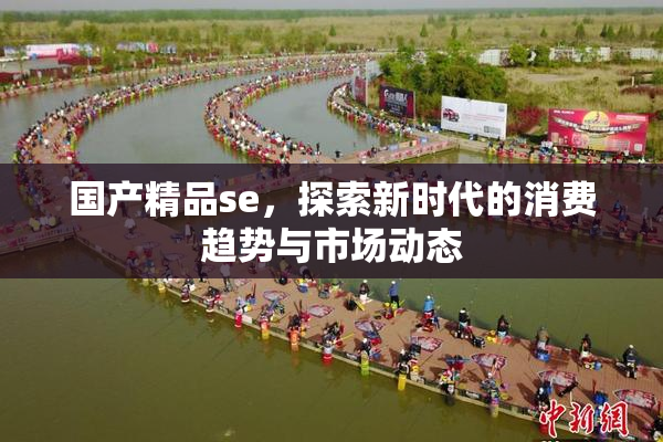 国产精品se，探索新时代的消费趋势与市场动态