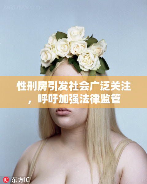 性刑房引发社会广泛关注，呼吁加强法律监管