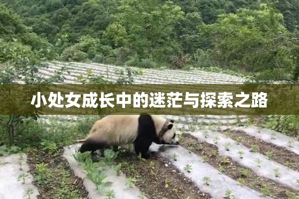 小处女成长中的迷茫与探索之路