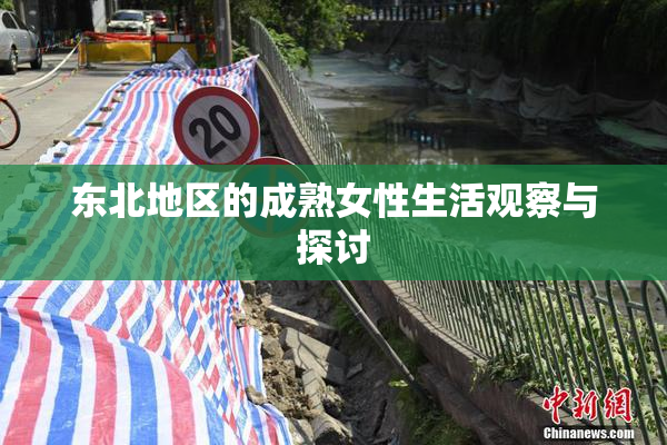 东北地区的成熟女性生活观察与探讨