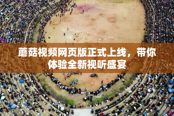 蘑菇视频网页版正式上线，带你体验全新视听盛宴