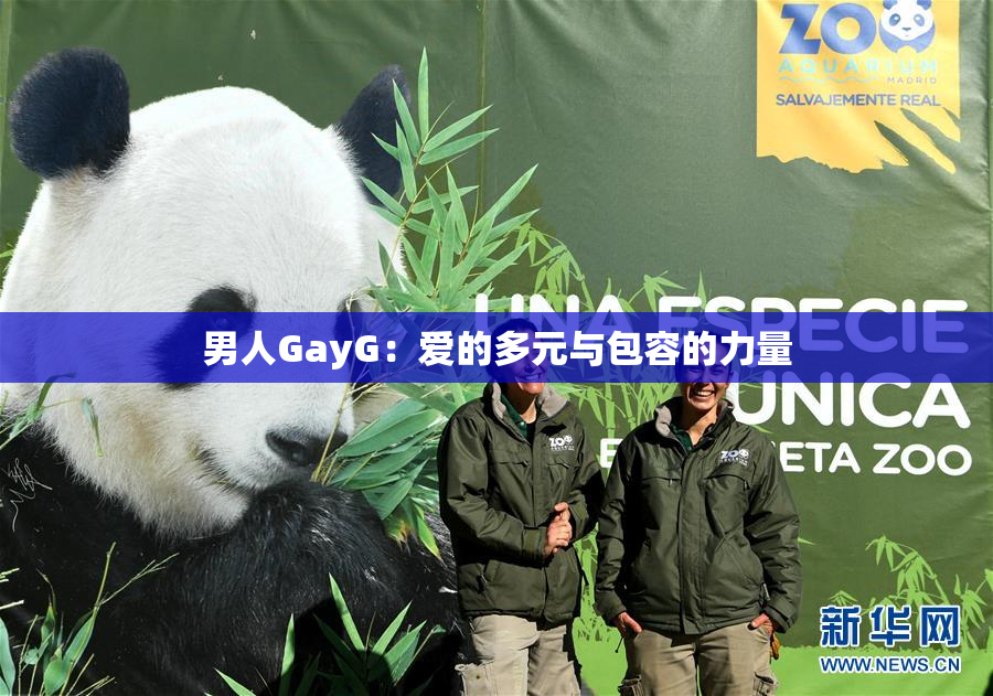 男人GayG：爱的多元与包容的力量