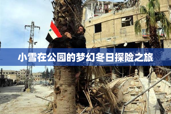 小雪在公园的梦幻冬日探险之旅