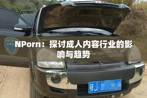 ΝPorn：探讨成人内容行业的影响与趋势