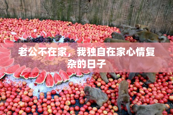 老公不在家，我独自在家心情复杂的日子