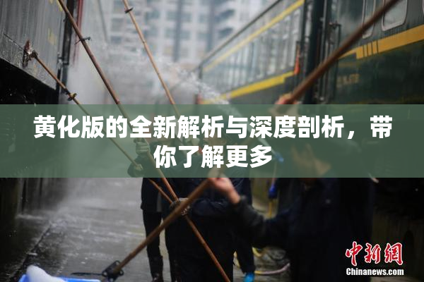 黄化版的全新解析与深度剖析，带你了解更多