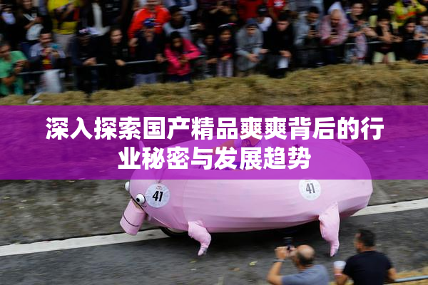 深入探索国产精品爽爽背后的行业秘密与发展趋势