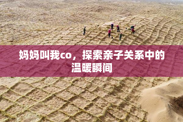 妈妈叫我co，探索亲子关系中的温暖瞬间