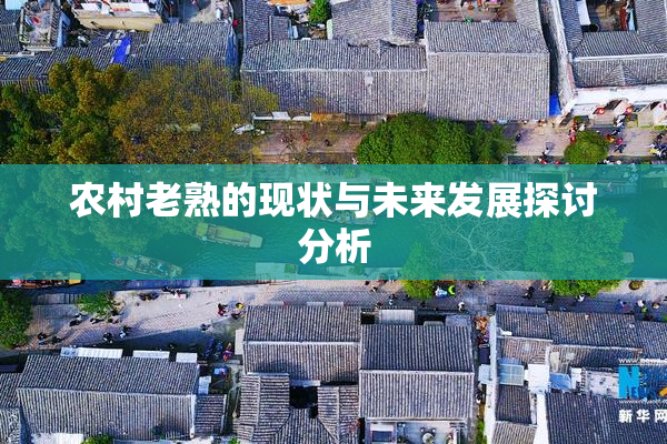 农村老熟的现状与未来发展探讨分析