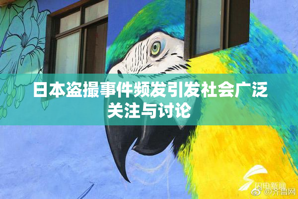 日本盗撮事件频发引发社会广泛关注与讨论