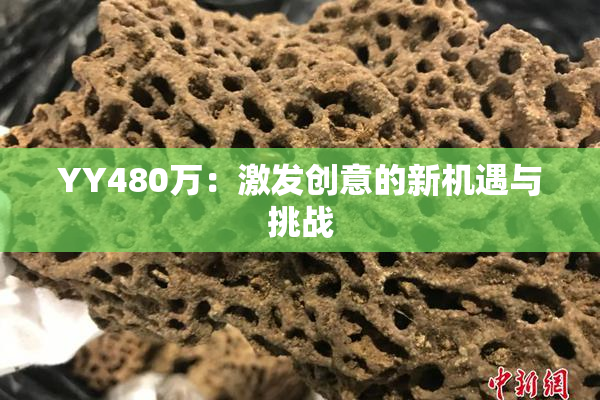 YY480万：激发创意的新机遇与挑战