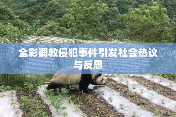 全彩调教侵犯事件引发社会热议与反思