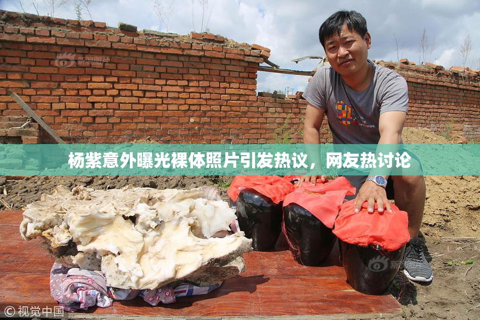 杨紫意外曝光裸体照片引发热议，网友热讨论