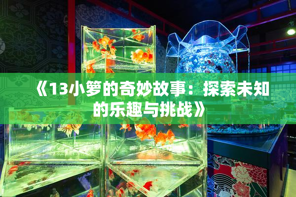 《13小箩的奇妙故事：探索未知的乐趣与挑战》