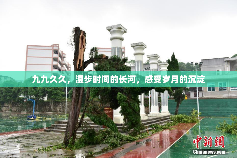 九九久久，漫步时间的长河，感受岁月的沉淀