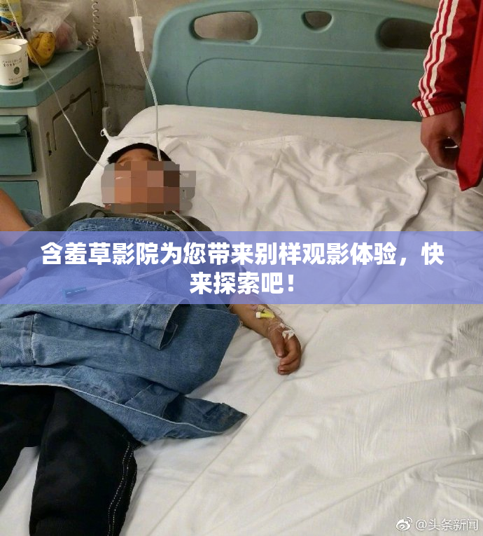 含羞草影院为您带来别样观影体验，快来探索吧！