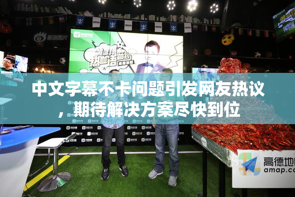 中文字幕不卡问题引发网友热议，期待解决方案尽快到位