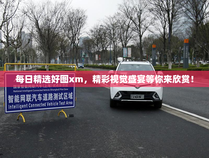 每日精选好图xm，精彩视觉盛宴等你来欣赏！