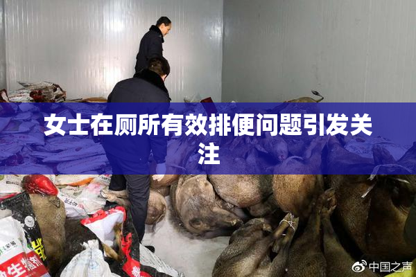 女士在厕所有效排便问题引发关注