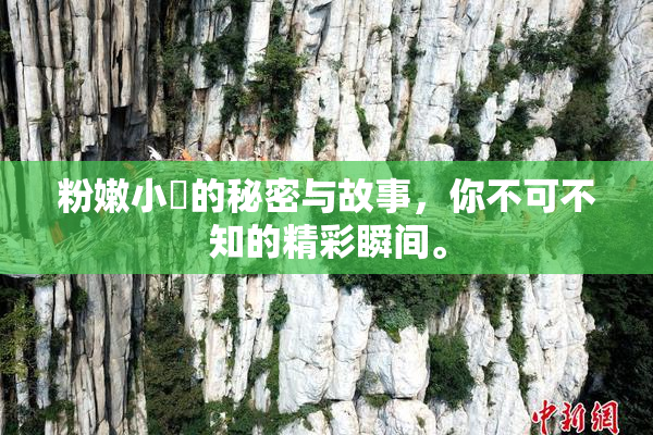 粉嫩小泬的秘密与故事，你不可不知的精彩瞬间。