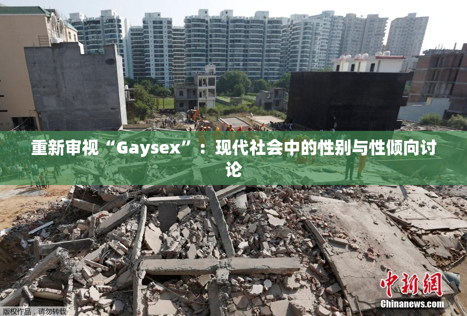 重新审视“Gaysex”：现代社会中的性别与性倾向讨论
