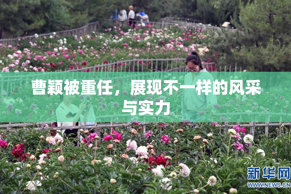 曹颖被重任，展现不一样的风采与实力