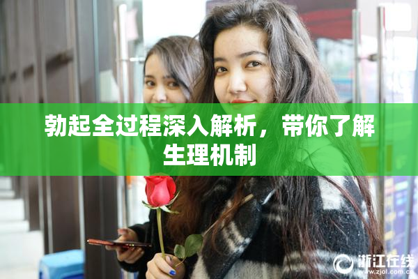 勃起全过程深入解析，带你了解生理机制