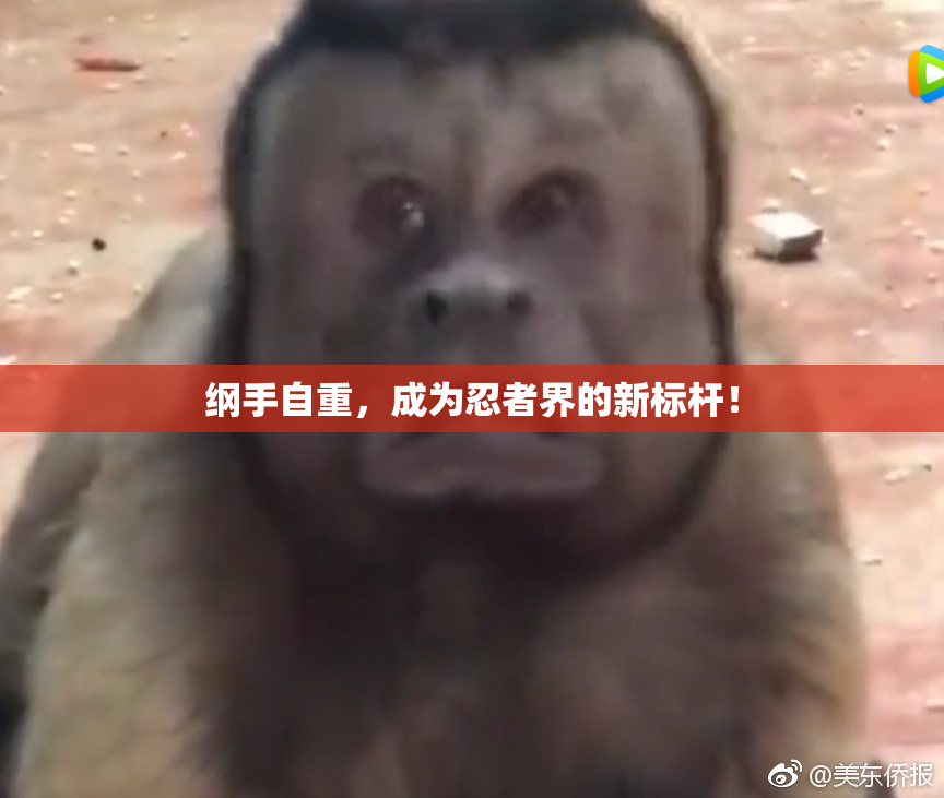 纲手自重，成为忍者界的新标杆！