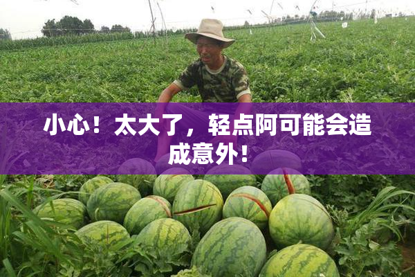 小心！太大了，轻点阿可能会造成意外！
