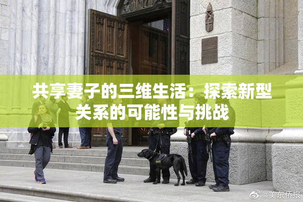 共享妻子的三维生活：探索新型关系的可能性与挑战