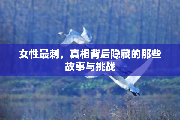 女性最刺，真相背后隐藏的那些故事与挑战