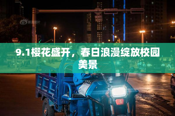9.1樱花盛开，春日浪漫绽放校园美景