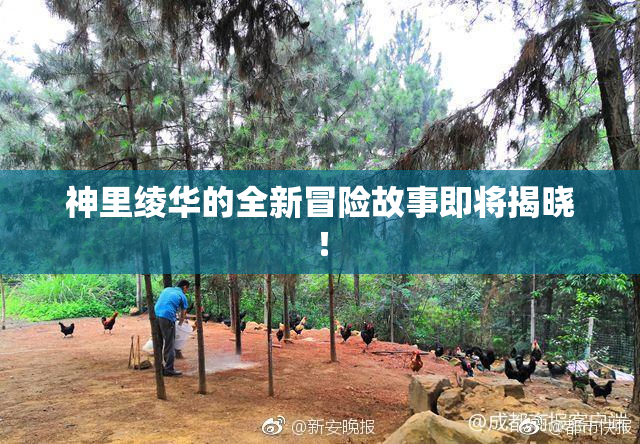 神里绫华的全新冒险故事即将揭晓！