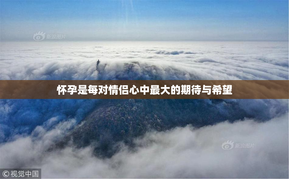 怀孕是每对情侣心中最大的期待与希望