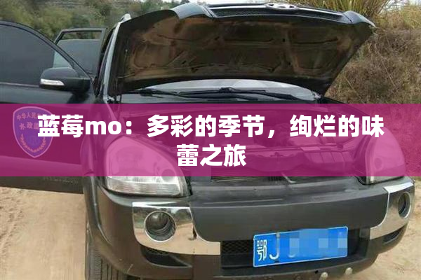 蓝莓mo：多彩的季节，绚烂的味蕾之旅