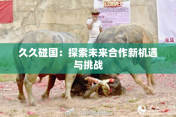 久久碰国：探索未来合作新机遇与挑战