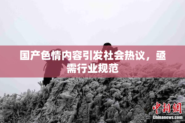 国产色情内容引发社会热议，亟需行业规范