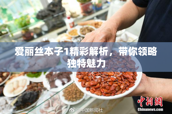 爱丽丝本子1精彩解析，带你领略独特魅力